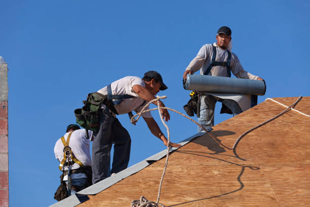 Best Gutter Installation and Roofing  in Jessup, MD